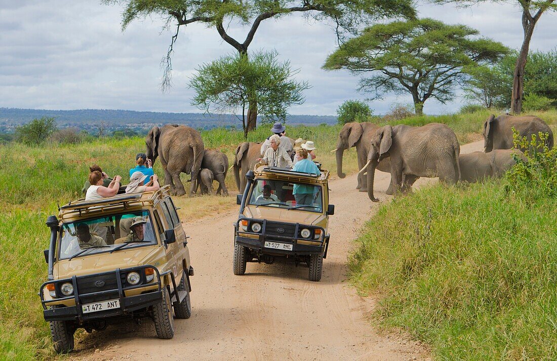 Top Child-Friendly Safaris in Tanzania: A Family Adventure of a Lifetime