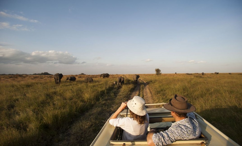 Top Tanzania Safari Tour Destinations to Visit in 2025: A Guide to Unforgettable Adventures