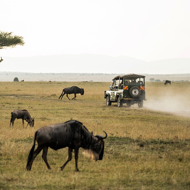 3-days-tanzania-safari