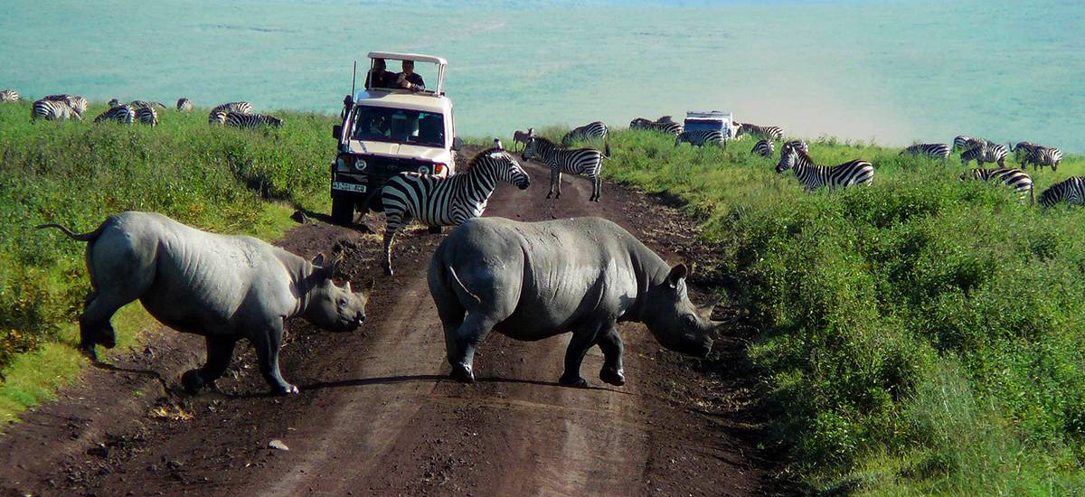 Exploring Tanzania: Top 5 Activities for Adventure Seekers