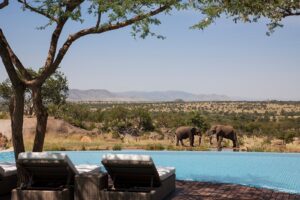 4 Days Premium Northern Tanzania Safari