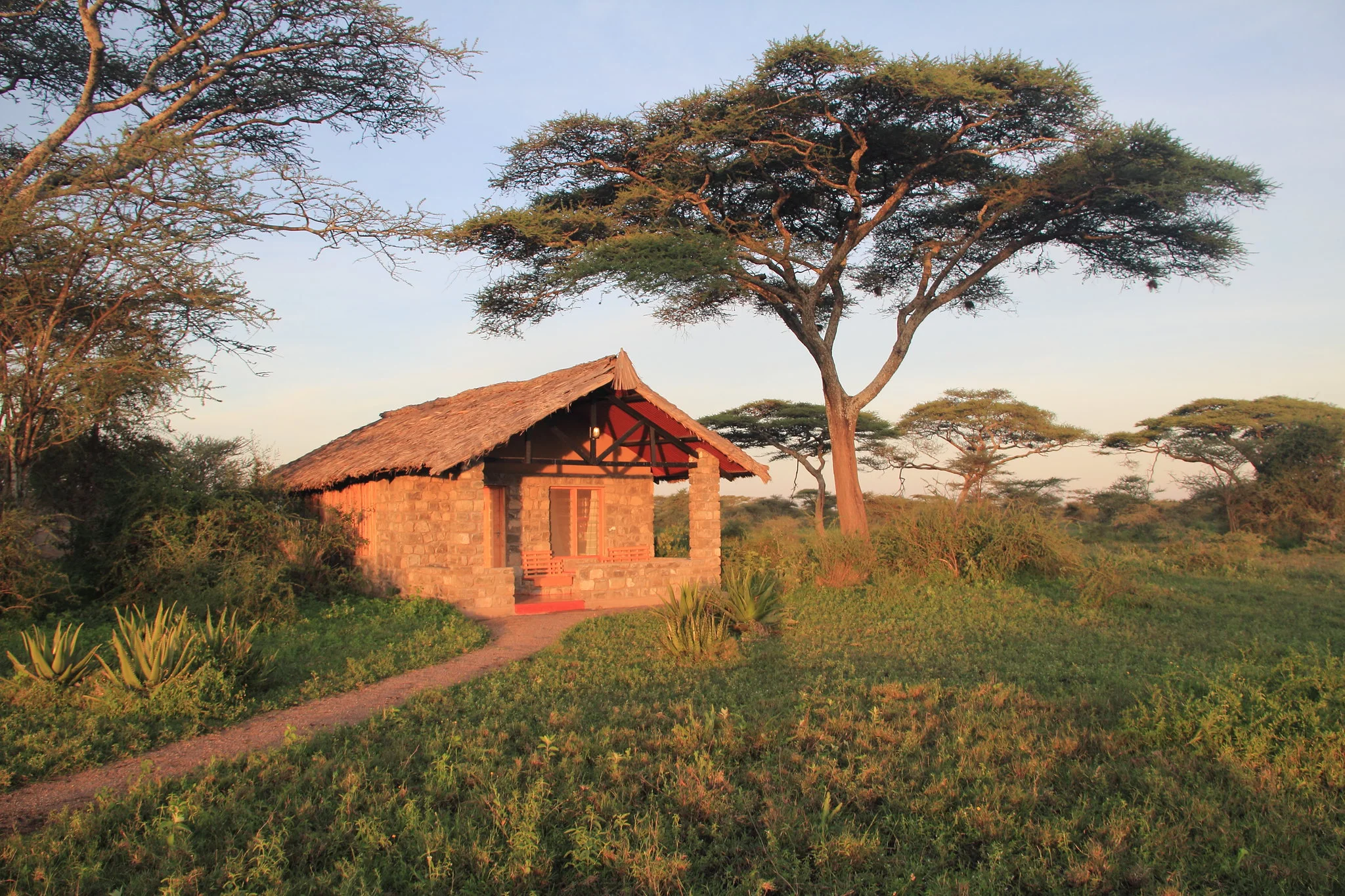 5 Days Tanzania Lodge Safari